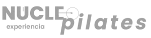 logo nucleo